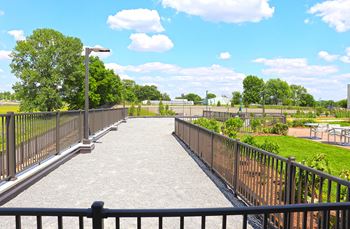 Dog park